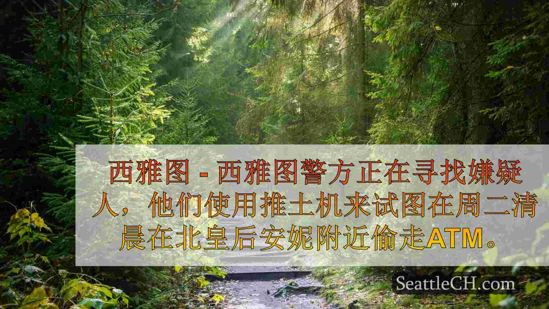 西雅图新闻 SeattleCH