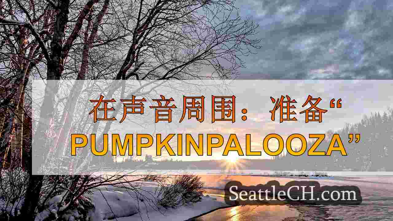 西雅图新闻 SeattleCH