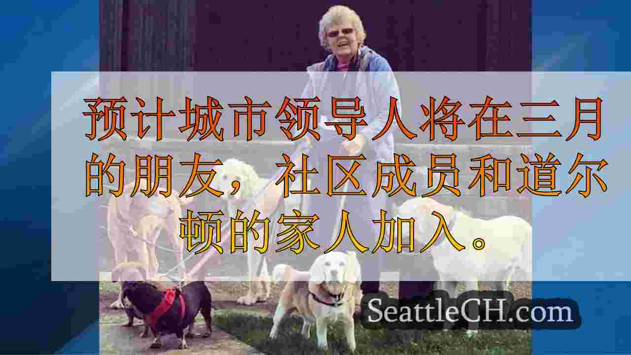 纪念步行计划为80岁的西雅图dog狗在劫车中遇难