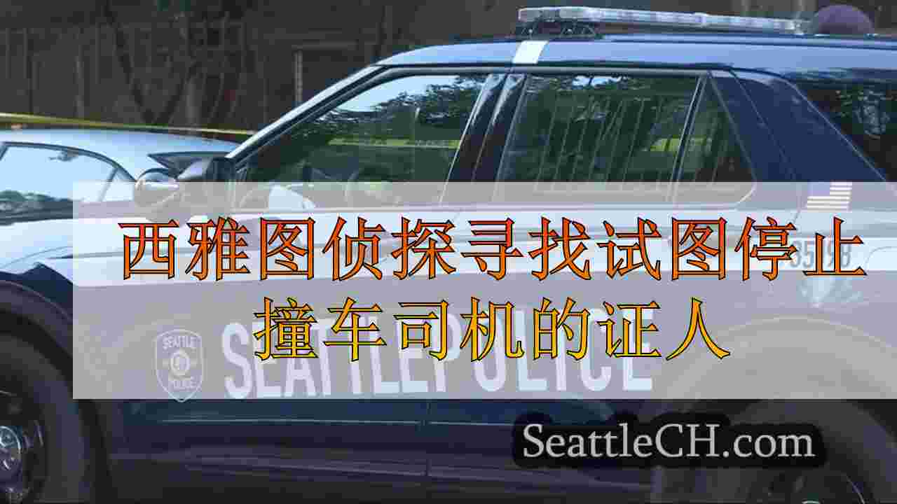 西雅图侦探寻找试图停止撞车司机的证人