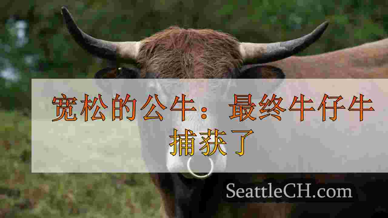 宽松的公牛：最终牛仔牛捕获了