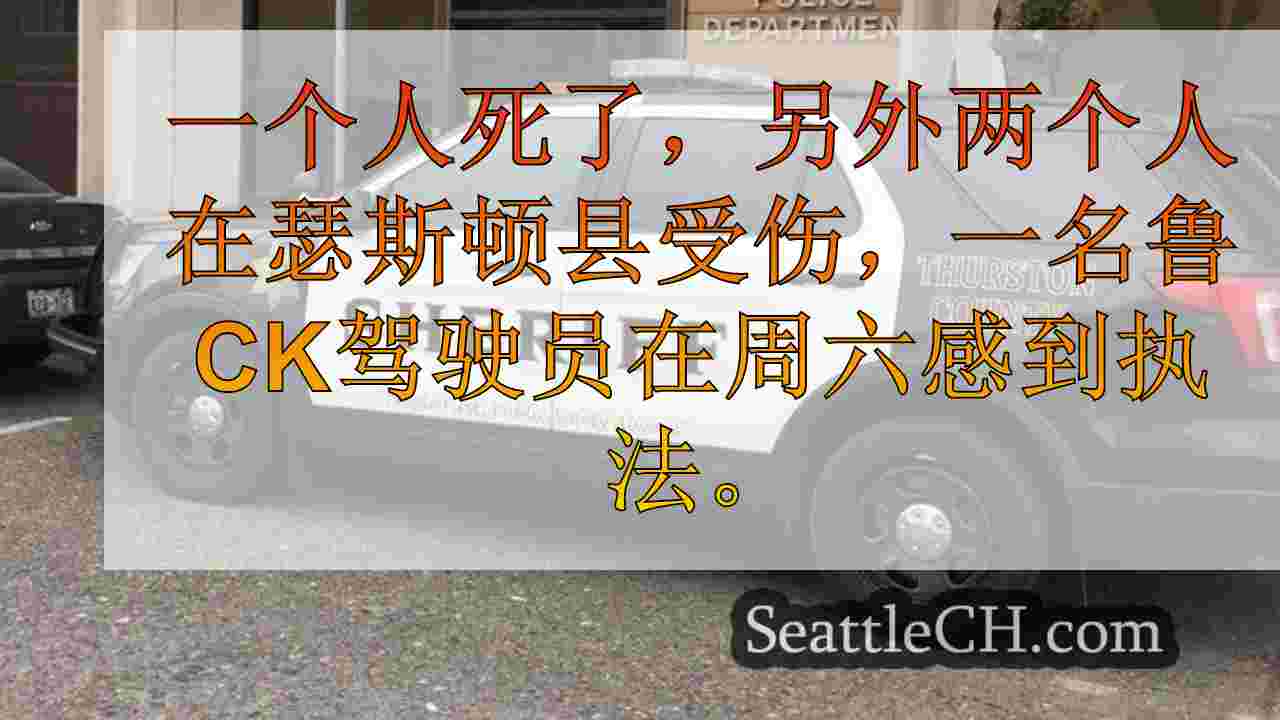 西雅图新闻 SeattleCH