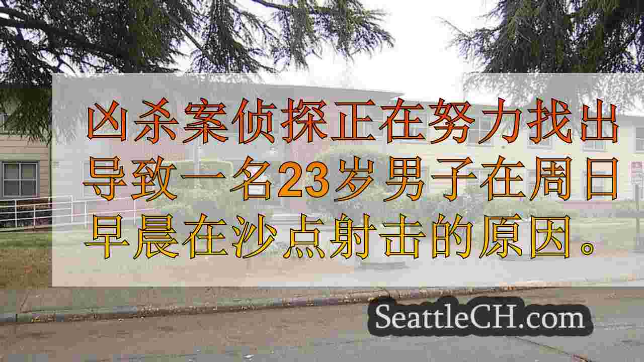 男子在清晨的沙点射击中被杀