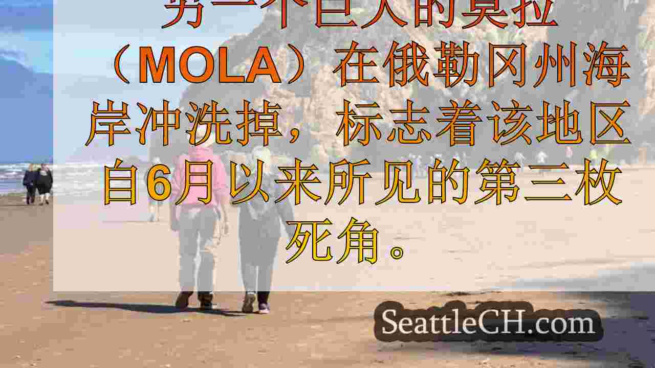 西雅图新闻 SeattleCH