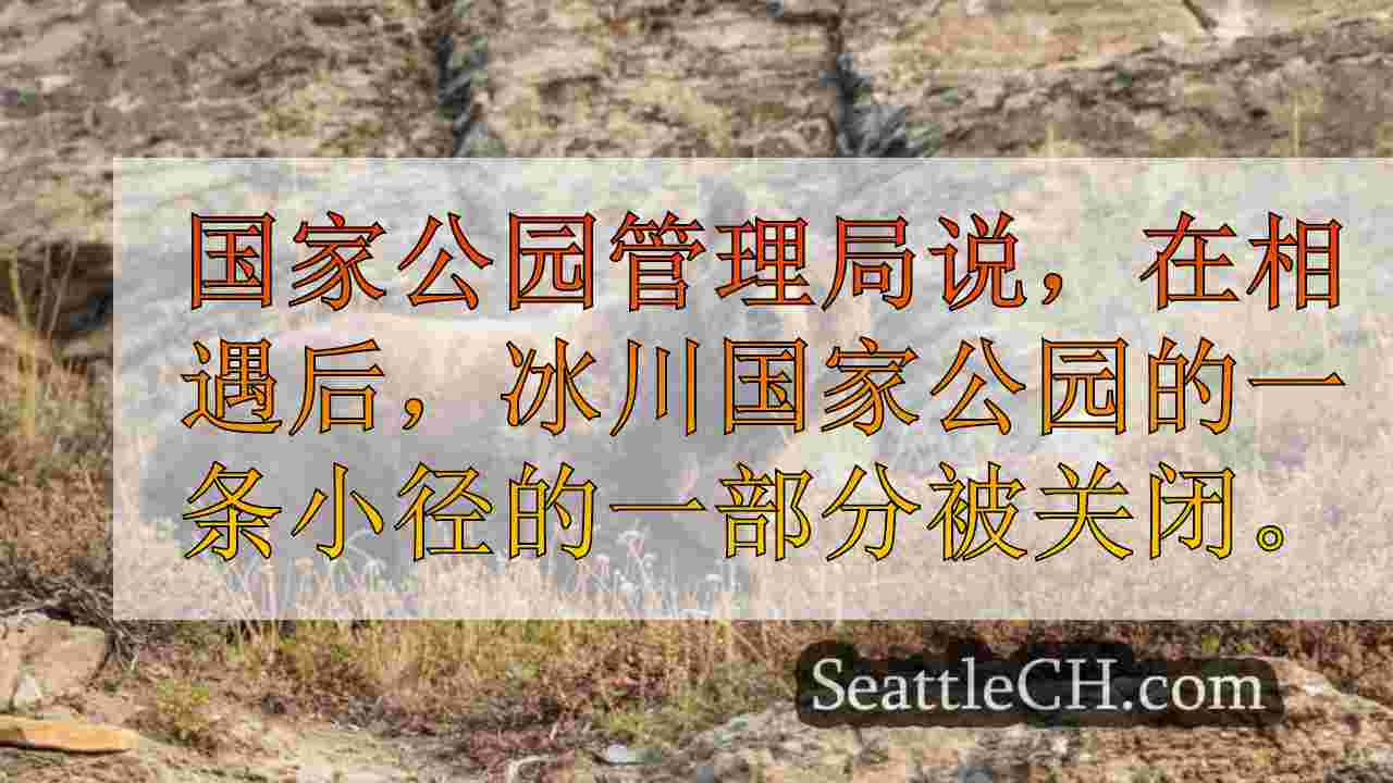 华盛顿州人在蒙大拿州的“惊喜相遇”期间被熊咬伤