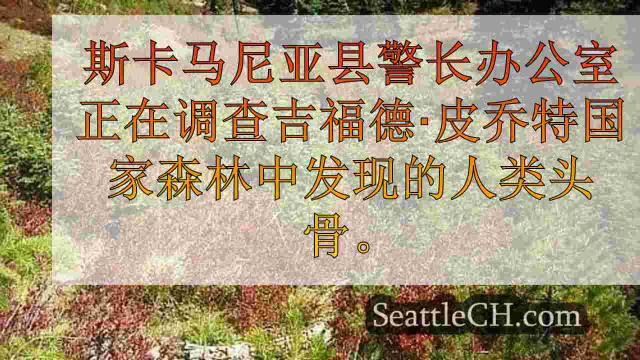 猎人在吉福德·皮乔特国家森林中发现人类头骨