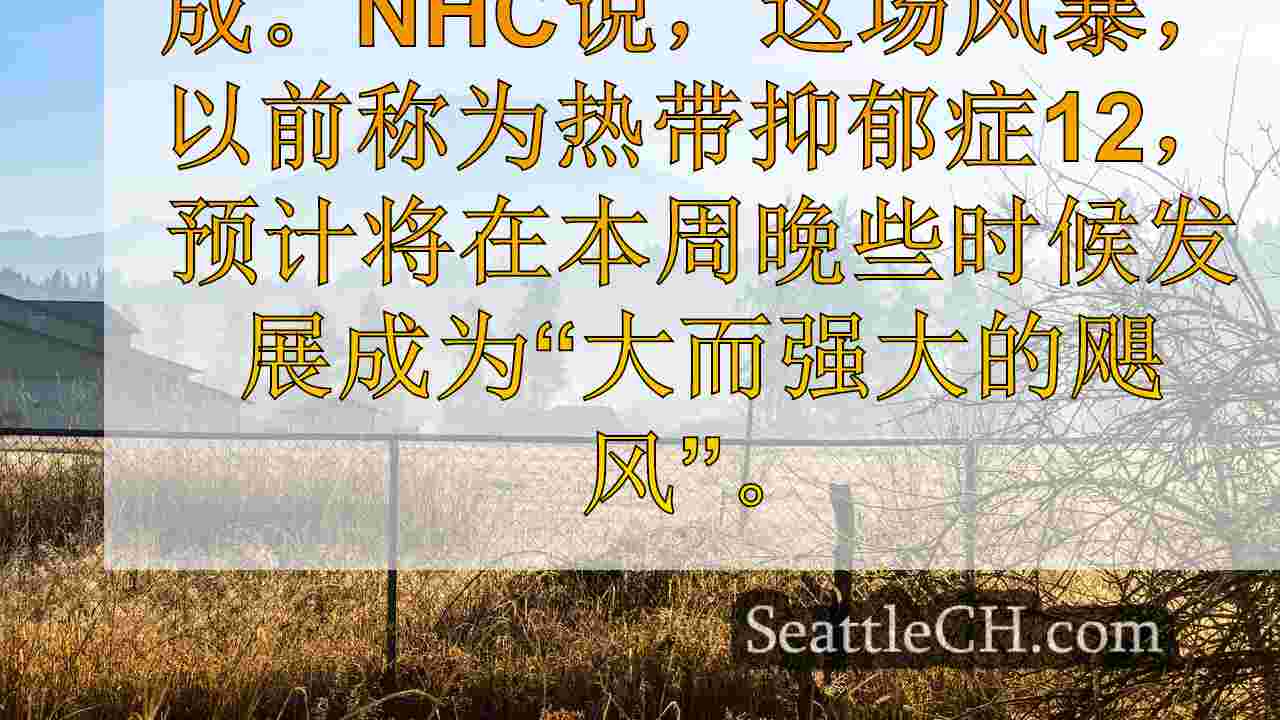西雅图新闻 SeattleCH