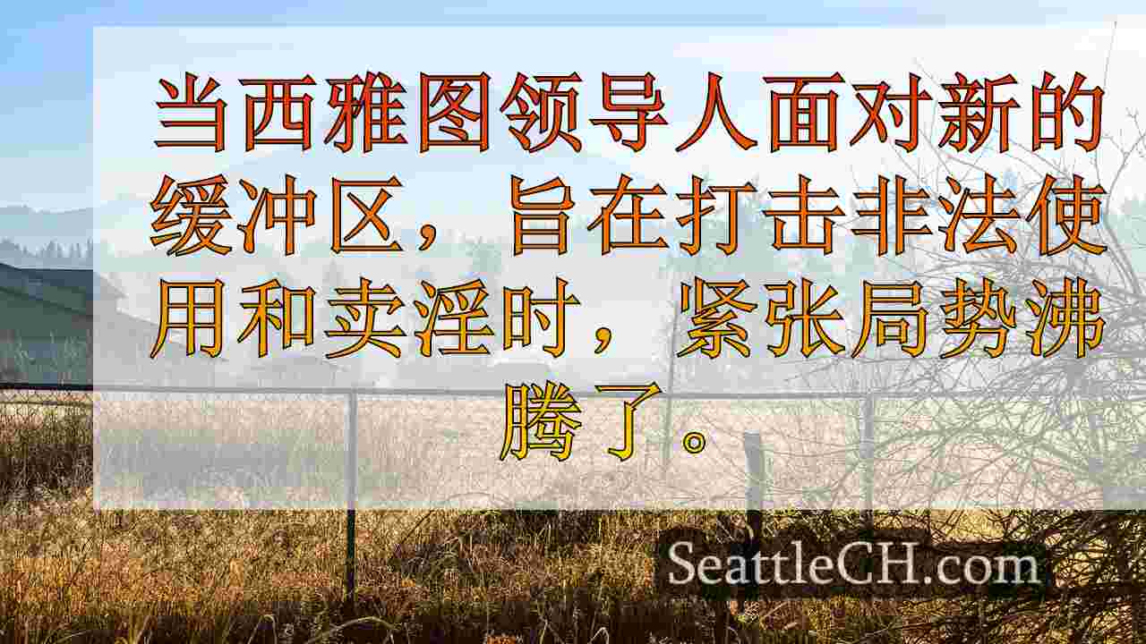 卖淫，毒品缓冲区点燃西雅图市议会的辩论