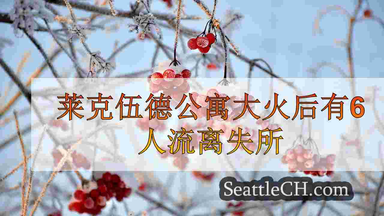 西雅图新闻 SeattleCH