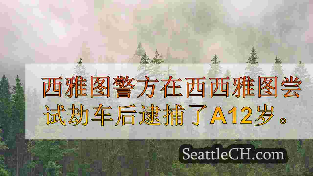 西雅图新闻 SeattleCH
