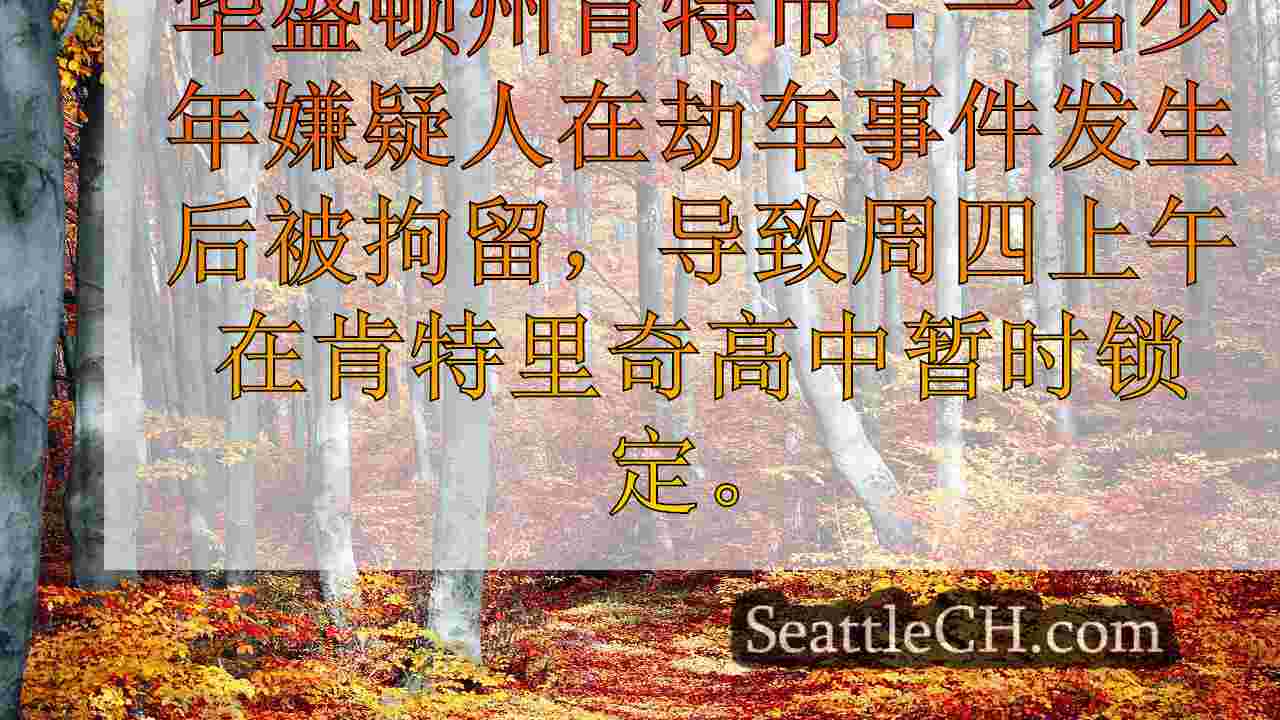 西雅图新闻 SeattleCH