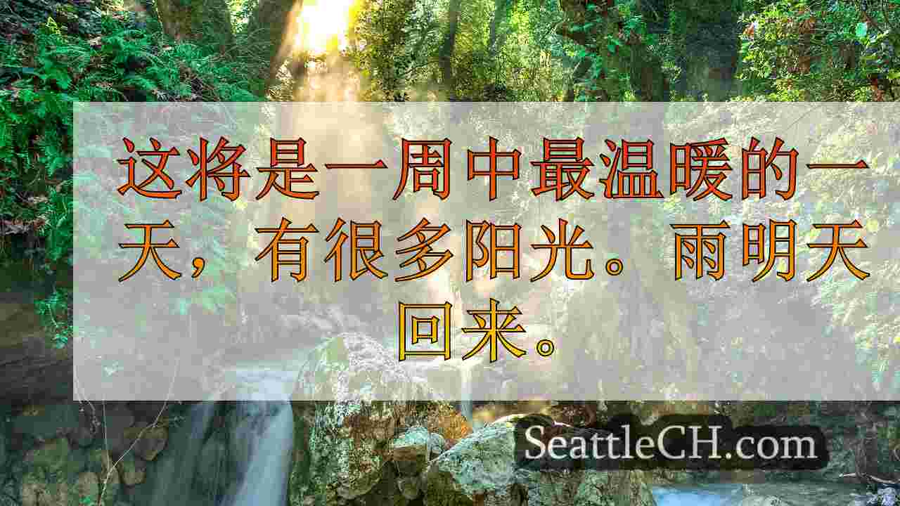 西雅图新闻 SeattleCH