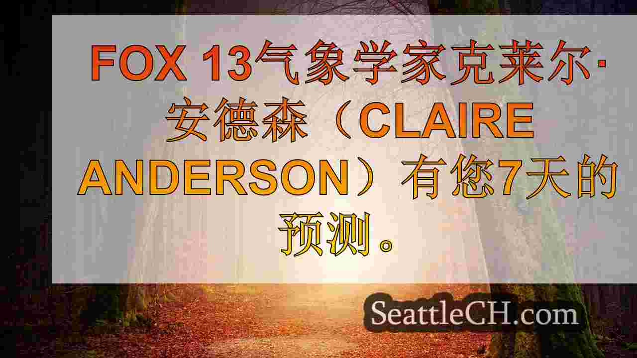 西雅图新闻 SeattleCH
