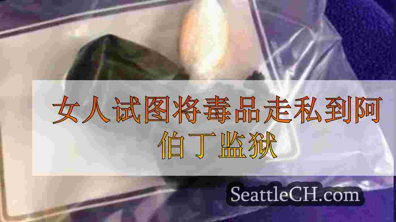 女人试图将毒品走私到阿伯丁监狱