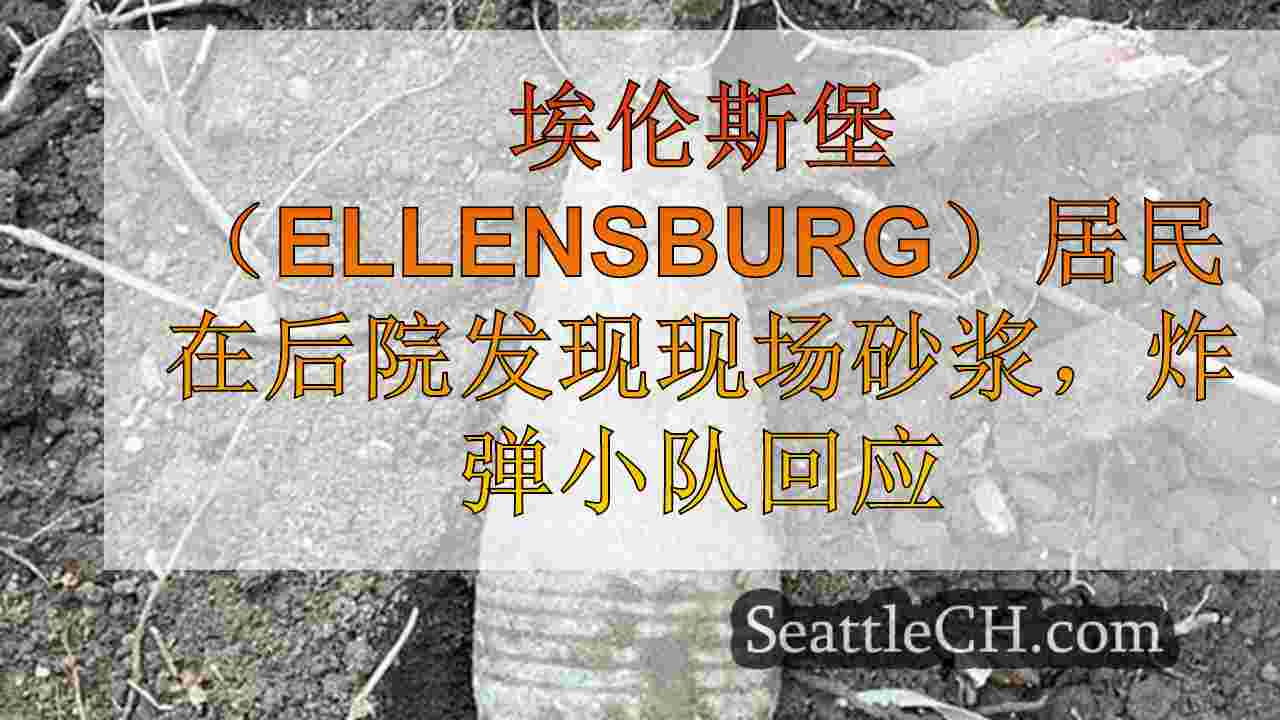 埃伦斯堡（Ellensburg）居民在后院发现现场砂浆，炸弹小队回应