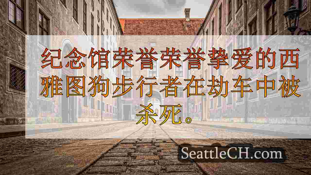 西雅图新闻 SeattleCH
