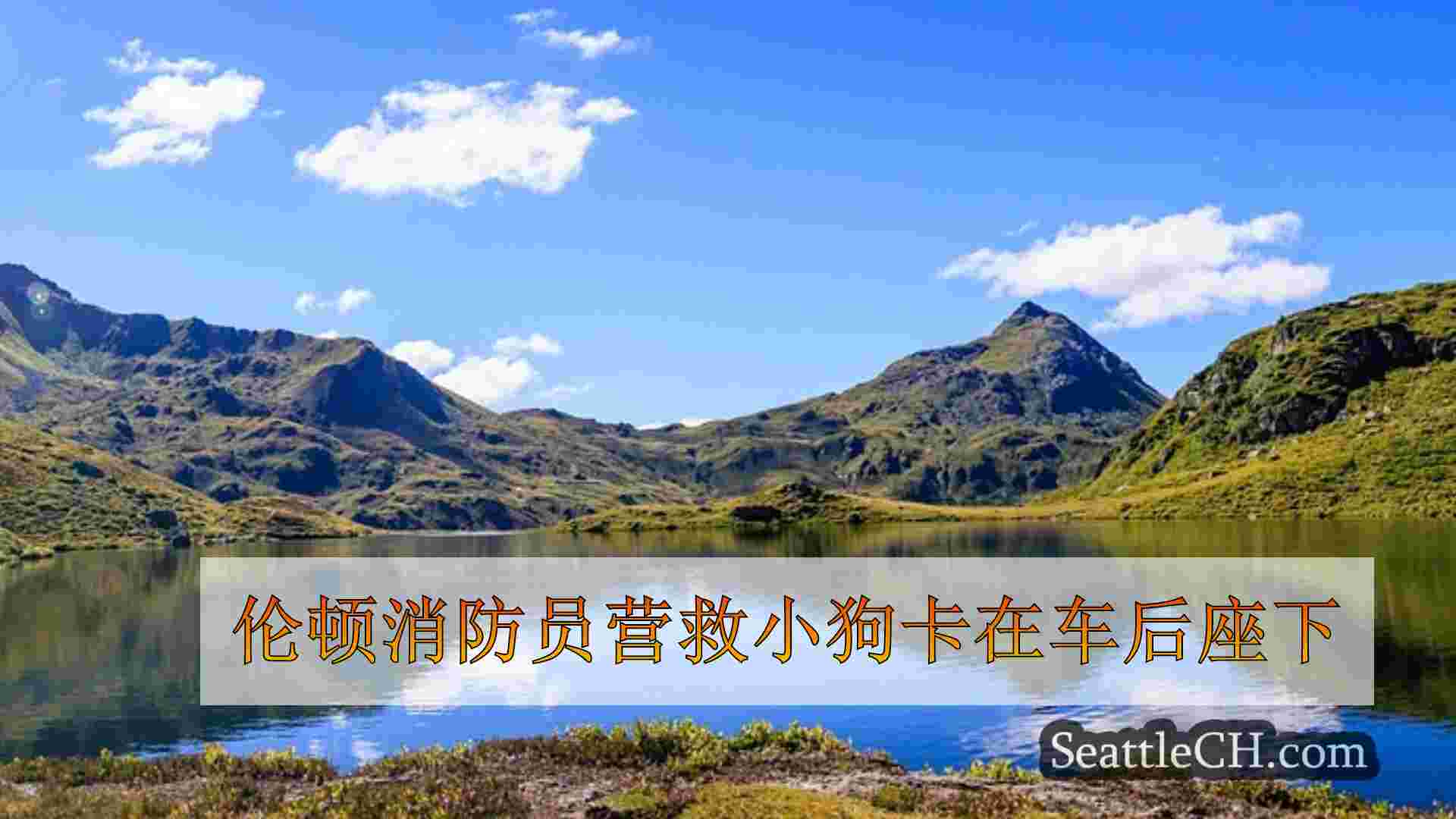 西雅图新闻 SeattleCH