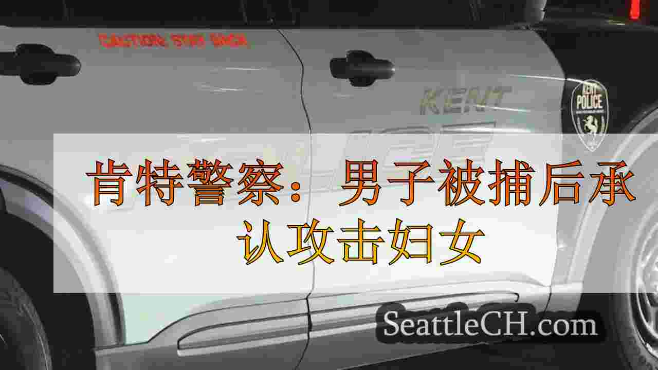 肯特警察：男子穿着同样的衣服被捕后承认攻击妇女