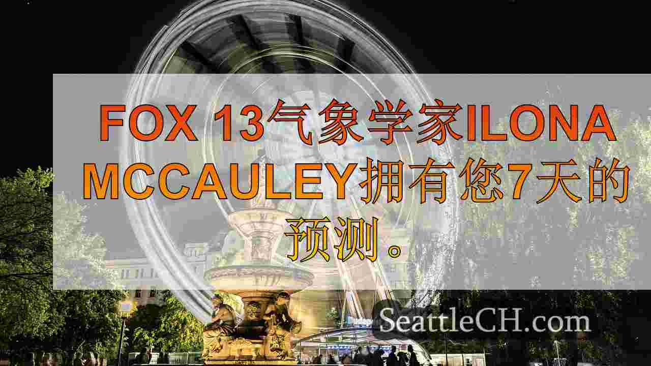 西雅图新闻 SeattleCH