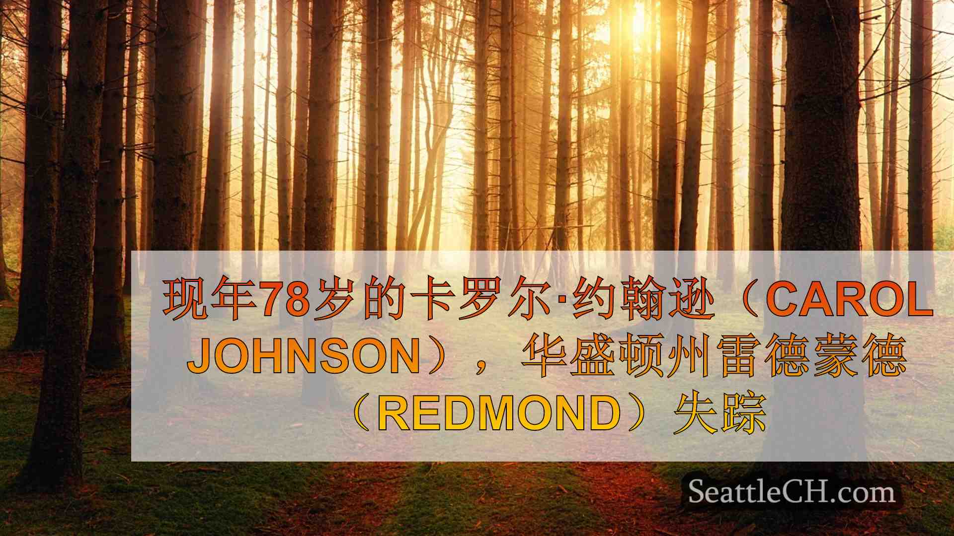 西雅图新闻 SeattleCH