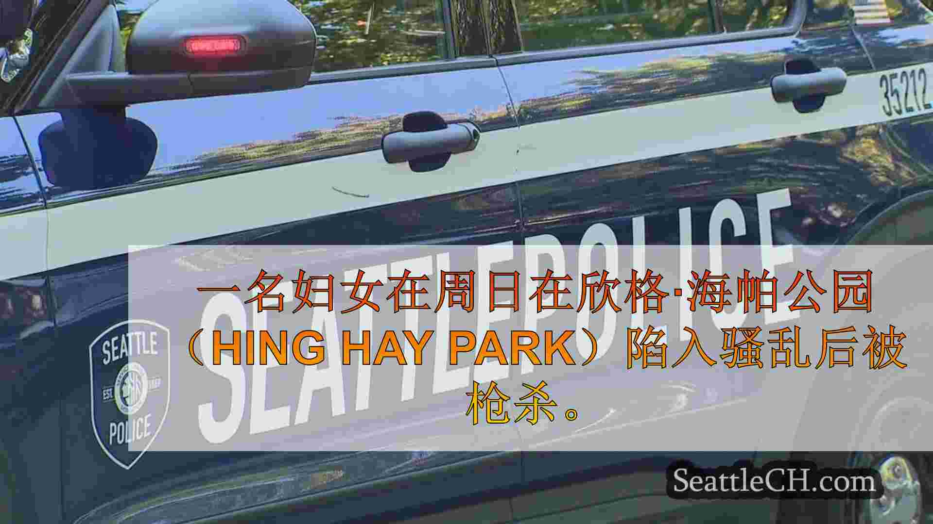 在西雅图的Hing Hay Park骚乱期间射击的女人