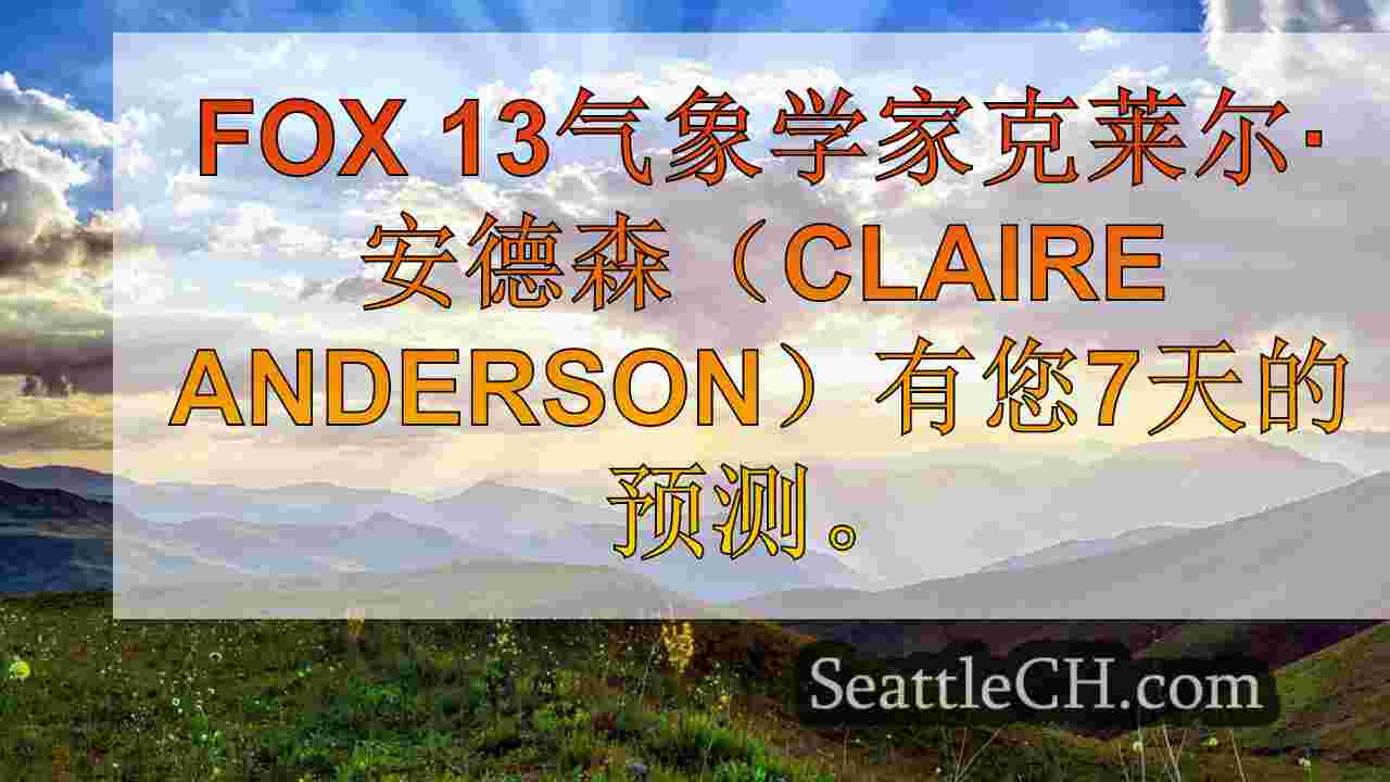 西雅图新闻 SeattleCH