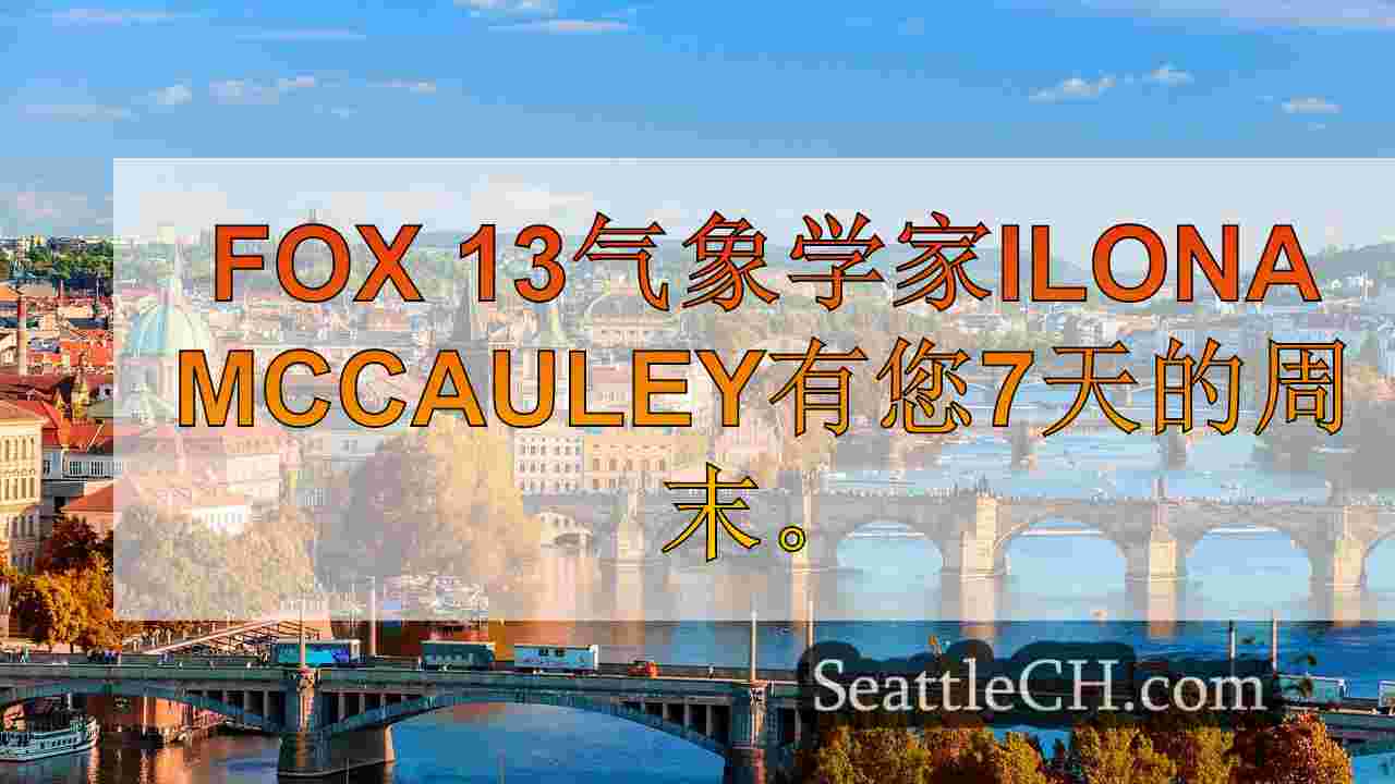 西雅图新闻 SeattleCH