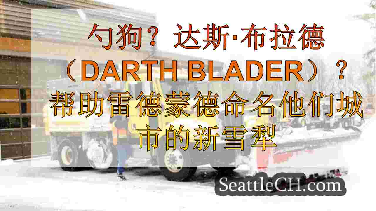 勺狗？达斯·布拉德（Darth Blader）？帮助雷德蒙德命名他们城市的新雪犁