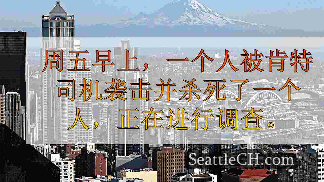 西雅图新闻 SeattleCH