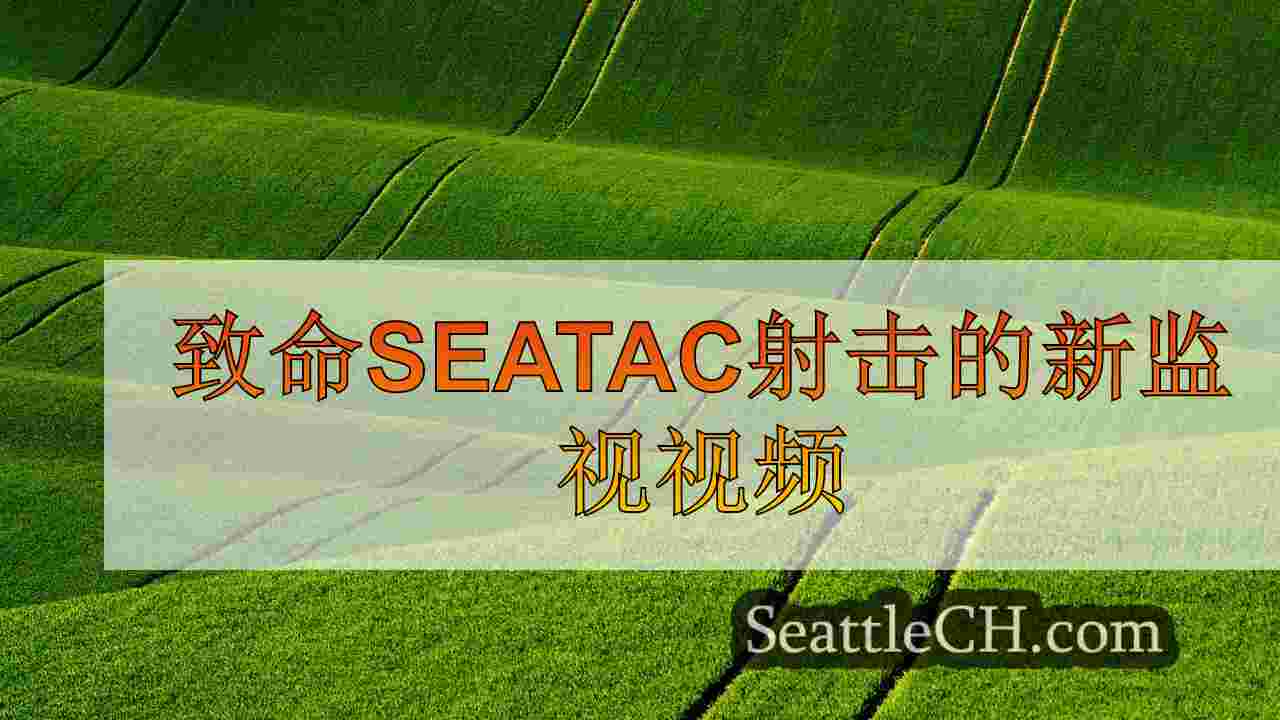 致命seatac射击的新监视视频