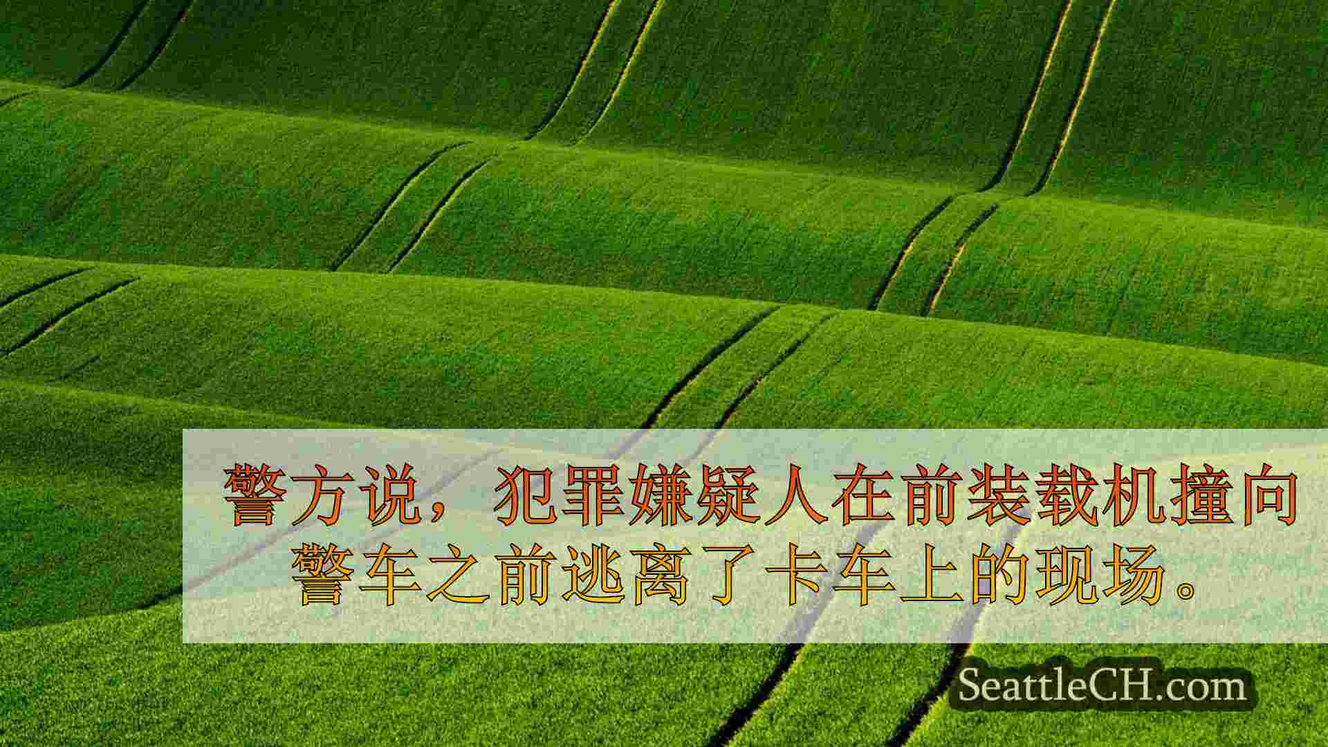 西雅图新闻 SeattleCH