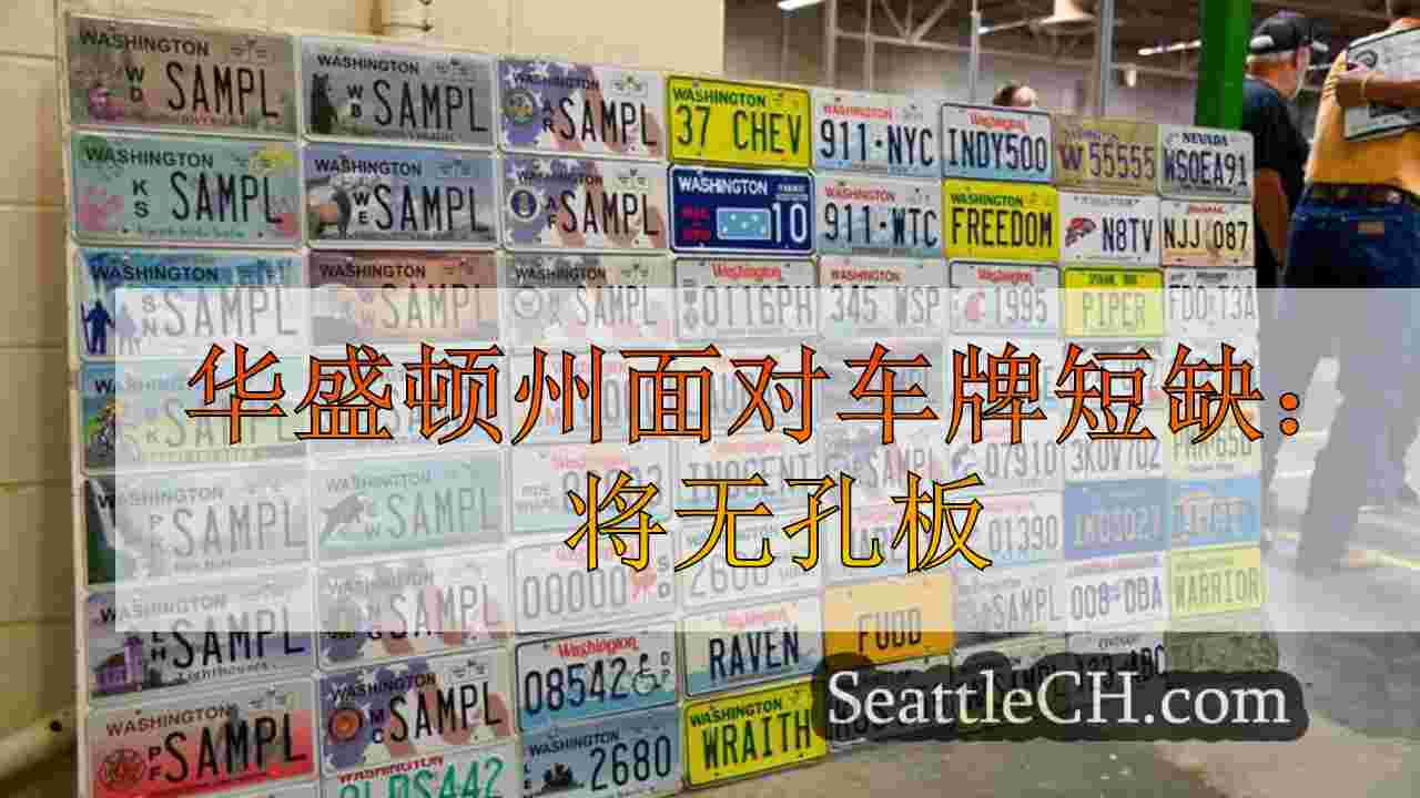 华盛顿州面对车牌短缺：非束缚板是否会成为新标准？