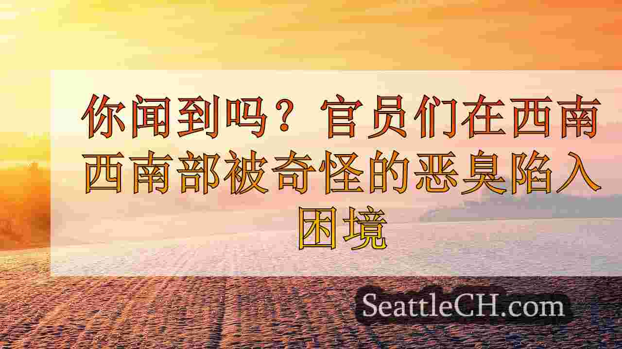 西雅图新闻 SeattleCH