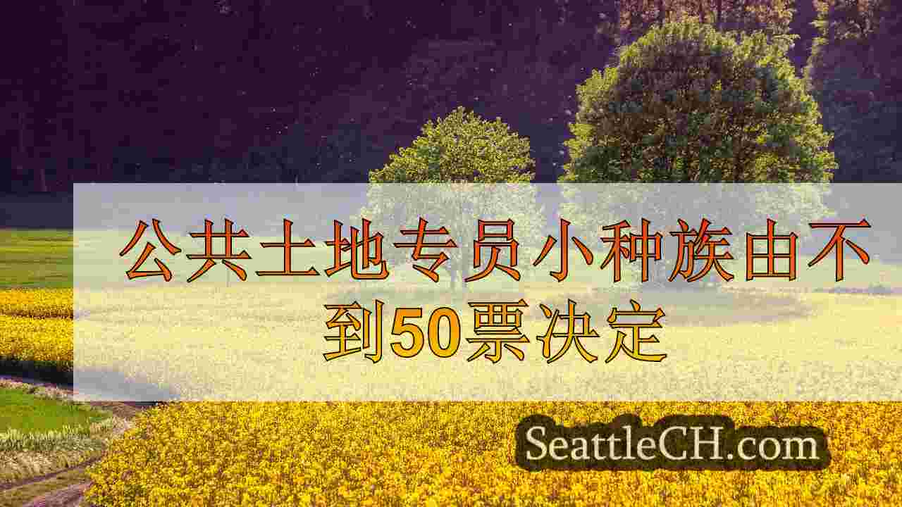 西雅图新闻 SeattleCH