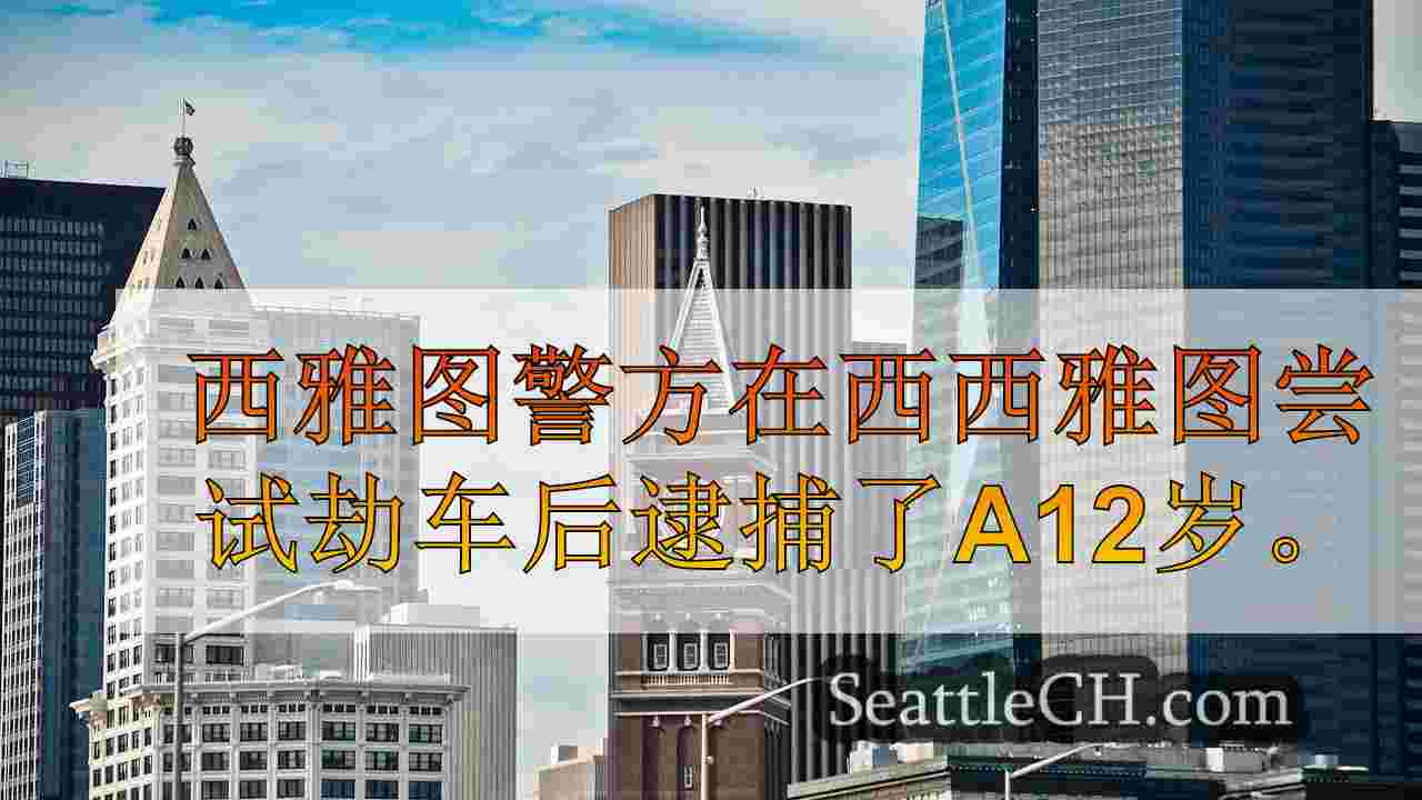 西雅图警察在西西雅图逮捕了12岁的劫车