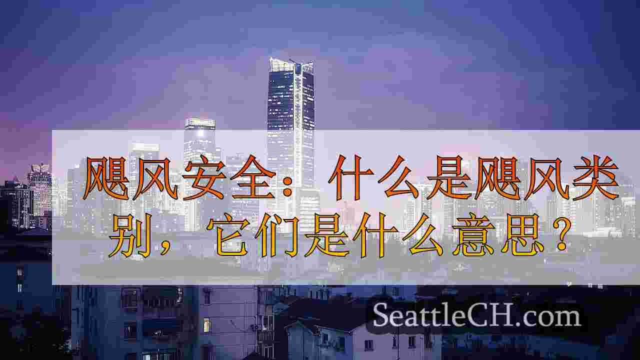 西雅图新闻 SeattleCH