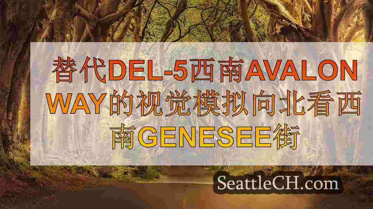 西雅图新闻 SeattleCH