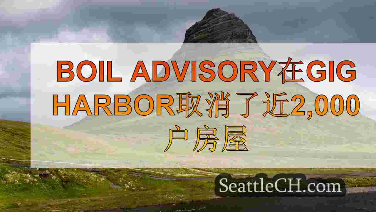 西雅图新闻 SeattleCH