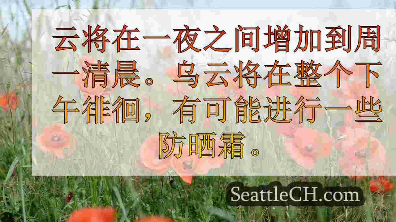 西雅图新闻 SeattleCH