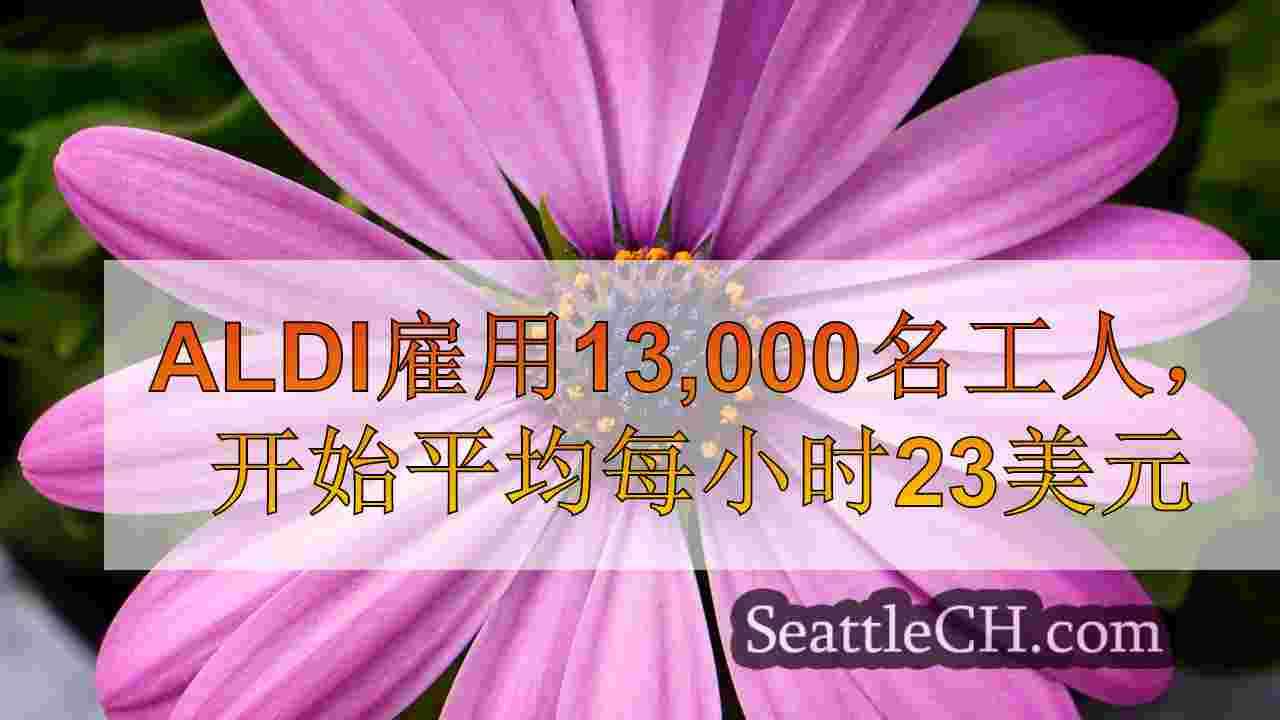 西雅图新闻 SeattleCH
