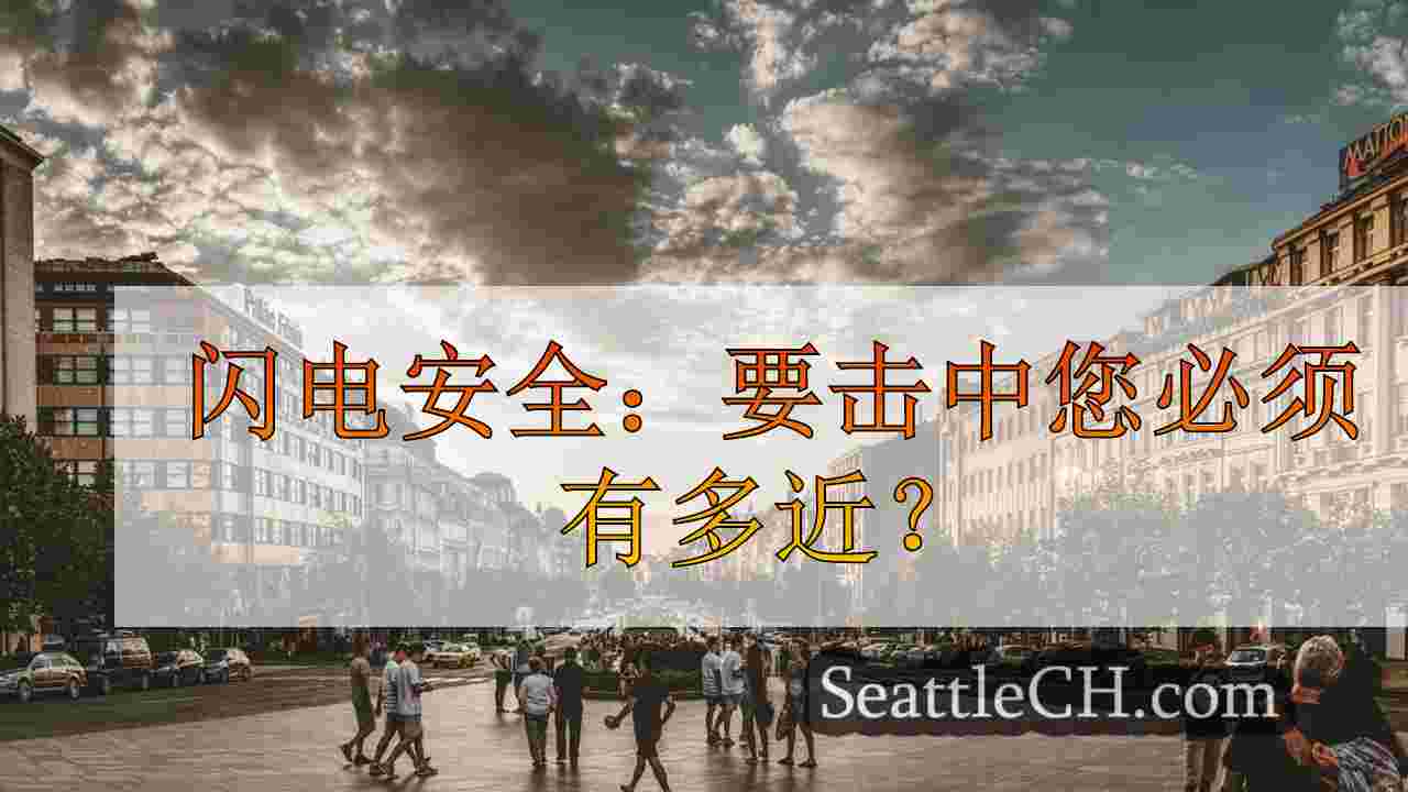 西雅图新闻 SeattleCH