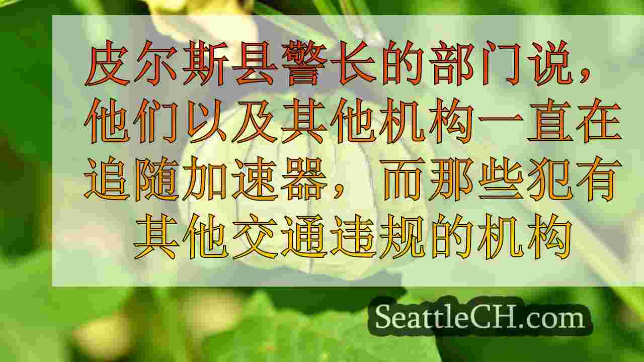 西雅图新闻 SeattleCH
