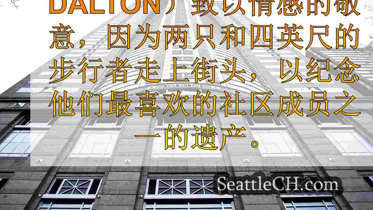 西雅图新闻 SeattleCH