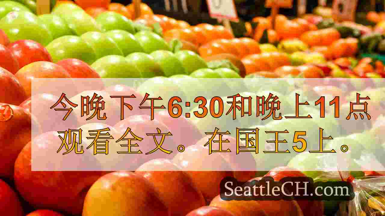 西雅图新闻 SeattleCH