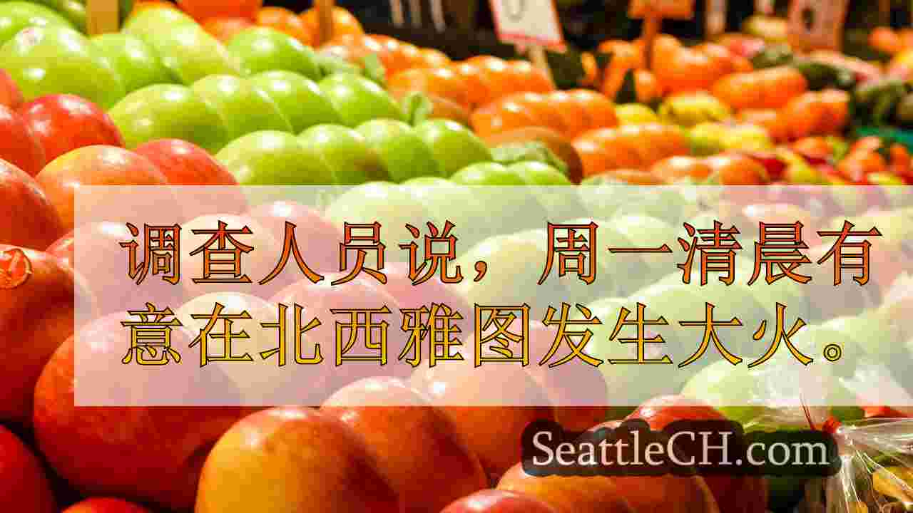 西雅图公寓大火故意设置