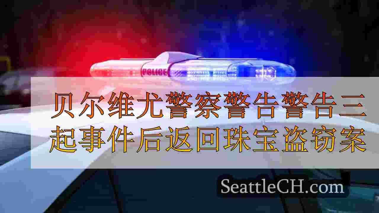 贝尔维尤警察在一天之内发生了三起事件后返回珠宝盗窃案