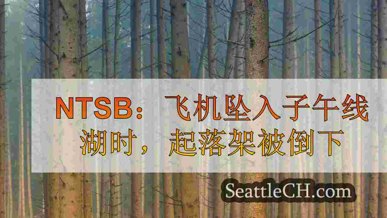 西雅图新闻 SeattleCH