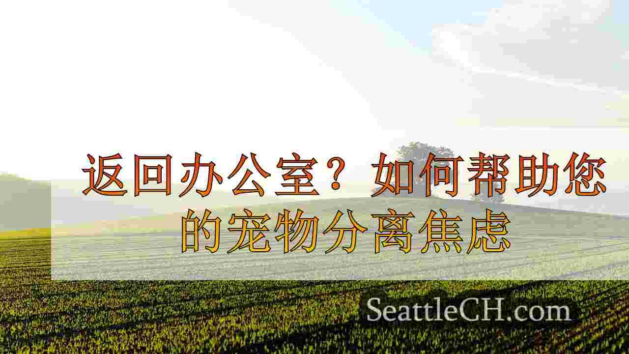 西雅图新闻 SeattleCH