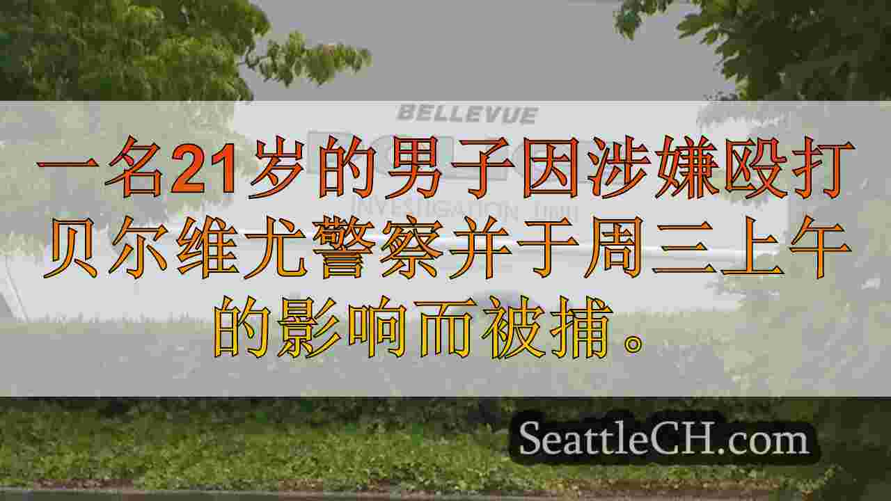 西雅图新闻 SeattleCH