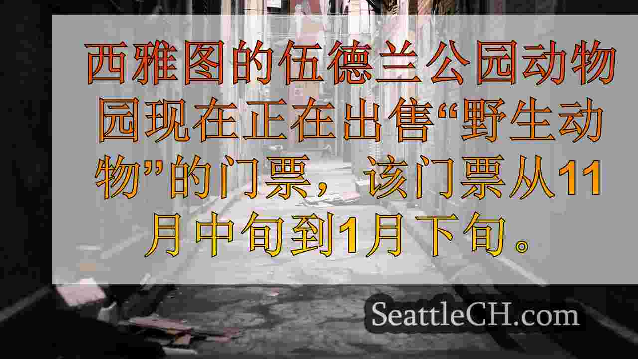 西雅图新闻 SeattleCH